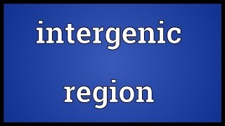 Intergenic region Meaning [upl. by Hartmann]