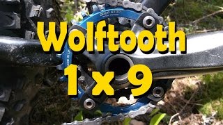 Wolf Tooth DropStop 1x9 Drivetrain Experiment [upl. by Nnahs]