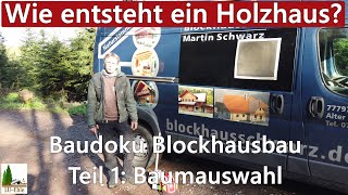 Wie entsteht ein Holzhaus  Baudoku Blockhausbau  Teil 1 Baumauswahl [upl. by Atiluj325]