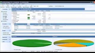 Nibud cashflow manager [upl. by Ecnahs963]