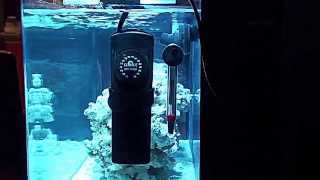 Product Review Cobalt NeoTherm Submersible Heater [upl. by Leugar]