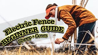 HOW TO INSTALL ELECTRIC FENCE FOR SHEEP AND COWS [upl. by Anaicilef366]