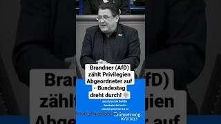 Stephan B über Gehälter und Ferien der Abgeordneten somit rasiert er alle Anwesenden [upl. by Earla]