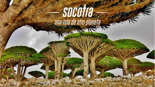 Socotra una isla de otro planeta [upl. by Dani588]