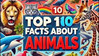 10 Animal Facts [upl. by Zat]