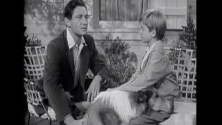 Lassie  Episode 21  quotBlind Soldierquot Originally broadcast 01301955 [upl. by Eisyak]