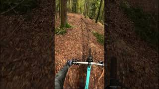 autumn vibes mtb enduromtb mountainbike bavaria downhill enduro mtb mtbdh jumpline short [upl. by Dunson521]