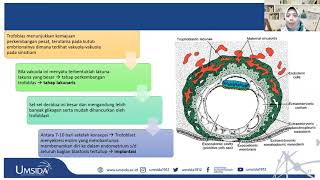 8 VIDEO SERI 9  TROFOBLAST [upl. by Allana179]