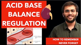 Acid Base Balance  Biochemistry  Renal Physiology [upl. by Ylla]