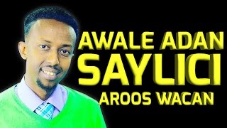 AWALE ADAN SAYLICI 2017 HD BEST SOMALI MUSIC [upl. by Meedan786]