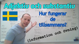 Adjektiv och substantiv samspelar information och övning SFI [upl. by Onfre]