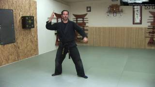 Bo Shuriken  Throwing Darts  Spikes  Ninja Training Free Video Blog  Ninja weapons [upl. by Gombach]