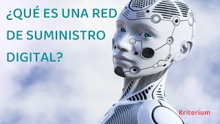 ¿Qué es una Red de Suministro Digital [upl. by Ociredef261]