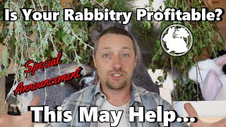 Is Your Rabbitry Profiting [upl. by Ayhay905]