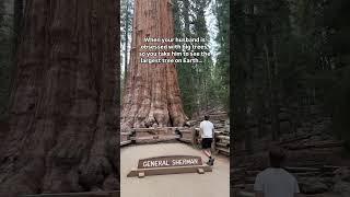 Seeing General Sherman for the first time in Sequoia National Park ✨🌲 California NationalParks [upl. by Atirec4]