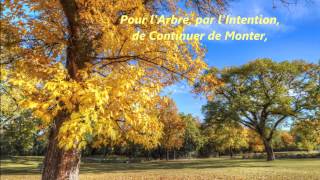 LArbre La Vie [upl. by Meneau]