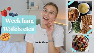 WEEK LANG WAFELS ETEN 🧇 7 GEZONDE WAFEL RECEPTEN  Anne Verbij [upl. by Tamma989]