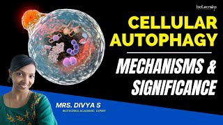 Cellular Autophagy Mechanisms amp Significance For CSIR NET GATE amp DBT BET Life Science Entrance Exam [upl. by Mackey]