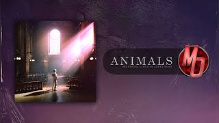 Architects Animals Orchestra Live from Abbey Road [upl. by Ojiram]