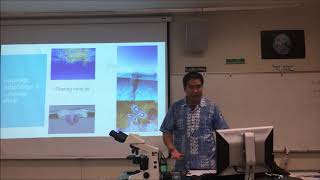 Marine Biology Lecture 14 Epipelagic Zone Bio 20 MtSAC [upl. by Yremogtnom]