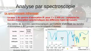 Analyse par spectroscopie infrarouge classe inversée Terminale Spécialité [upl. by Lahsiv]