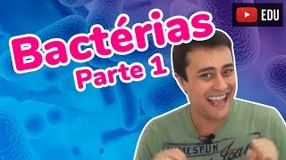 Reino Monera  Bactérias  Parte 1  Prof Paulo Jubilut [upl. by Imray191]