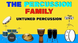 CLASSIFICATION OF MUSICAL INSTRUMENTS  The Percussion Familymusic lessons theory [upl. by Matty]