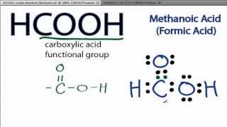 HCOOH Lewis Structure How to Draw the Lewis Structure for HCOOH [upl. by Ayokahs]