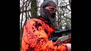 Extrait faon 2 Chasse aux sangliers en Sologne part 2 CARRE [upl. by Nylazor537]