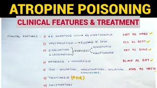 Autonomic Pharmacology  11  Atropine Poisoning  EOMS [upl. by Luis]