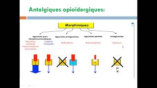 cour14 les antalgiques [upl. by Gizela]