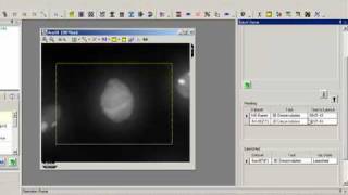 AutoQuant deconvolution Batch Processing Tutorial [upl. by Amaleta81]