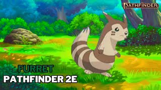 How to Play Furret in Pathfinder 2e Pokemon [upl. by Gerianne13]