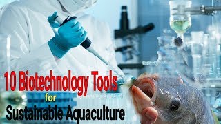 Top 10 Biotechnology Tools for Sustainable Aquaculture [upl. by Worthy]