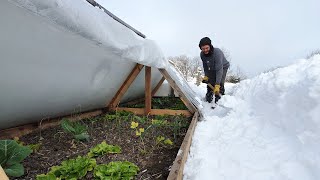 Como hacer INVERNADERO CASERO  Súper Resistente al frio y nieve [upl. by Drais]