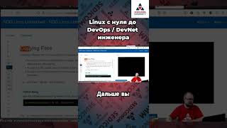 Легко копировать файлы в Linux Узнайте секреты Курс linux с нуля до devops  devnet инженера [upl. by Atinek98]
