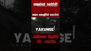 අභිරහස් වලව්ව 08 කොටස  sinhala holman katha sinhalaholmankatha horrortok viral foryou [upl. by Ardnaxila]