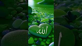 naats islmicnaat islamicmusic love beautifulnat islamicsong duet nat naatsharif [upl. by Naylor]