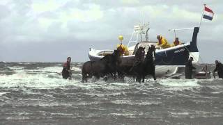 Demonstratie Paardenreddingboot Ameland [upl. by Dott758]