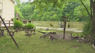 Tippecanoe River floods neighborhood [upl. by Ahola]