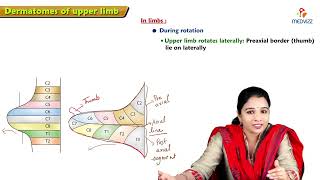 17 Dermatomes of Upper Limb Anatomy  MBBS Lecture [upl. by Ardnosal12]