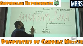 Properties of Cardiac Muscle Amphibian Experiments mbbs physiology practical [upl. by Adalia743]