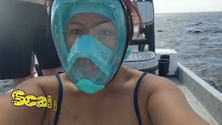 Full Day Fishing and Scallop Charter at Steinhatchee Fl FL fishingcharter scallops florida [upl. by Dorise]