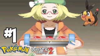 Pokemon White 2 1 เริ่มต้นการเดินทางฉันเลือกนาย โพคาบู [upl. by Aldwon]