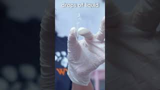 How to prepare a veterinary urine sediment sample veterinary clinicalskills vetacademy shorts [upl. by Yenaled]