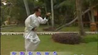 Xing Yi Quan Advanced Retreat Linked Form [upl. by Amliw105]