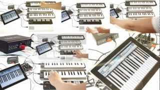 iConnectMIDI Multiple Keyboards and an iPad [upl. by Raynah]