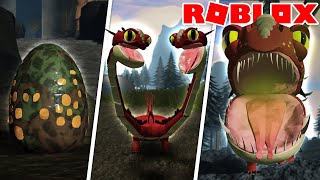 COMO TREINAR SEU ZÍPER ARREPIANTE DRAGÃO POR UM DIA  ROBLOX Berks Dragons [upl. by Ahsiyt]