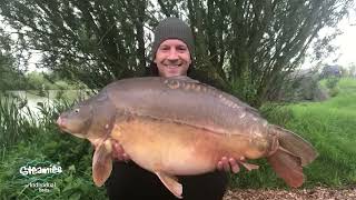 Coking farm oak lake Big mirror carp caught [upl. by Krefetz571]