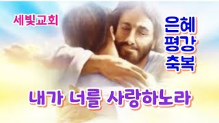 낙심 없는 사람살후3장13절세빛교회 수요밤찬앙♡예배 2024228 [upl. by Nonregla]